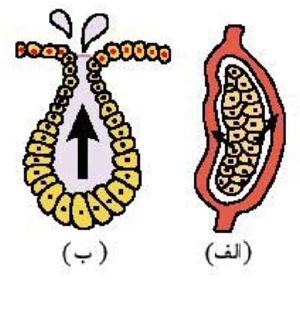 دریافت سوال 18