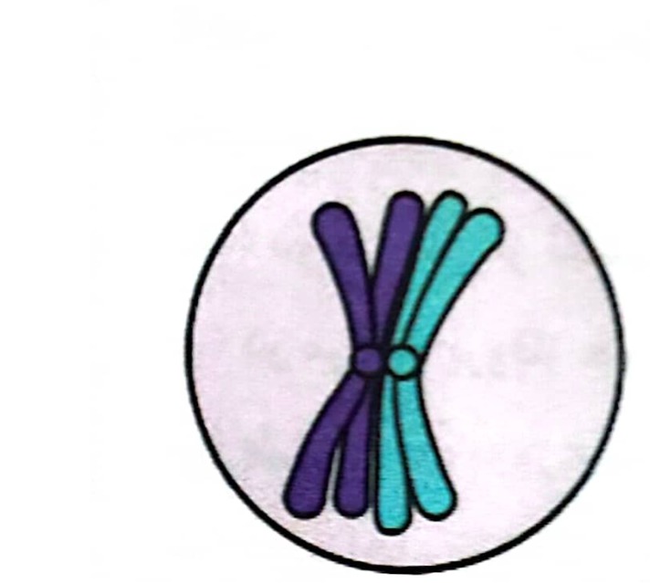 دریافت سوال 22