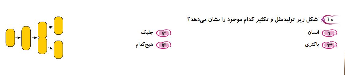 دریافت سوال 10