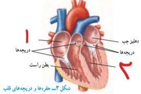 دریافت سوال 22