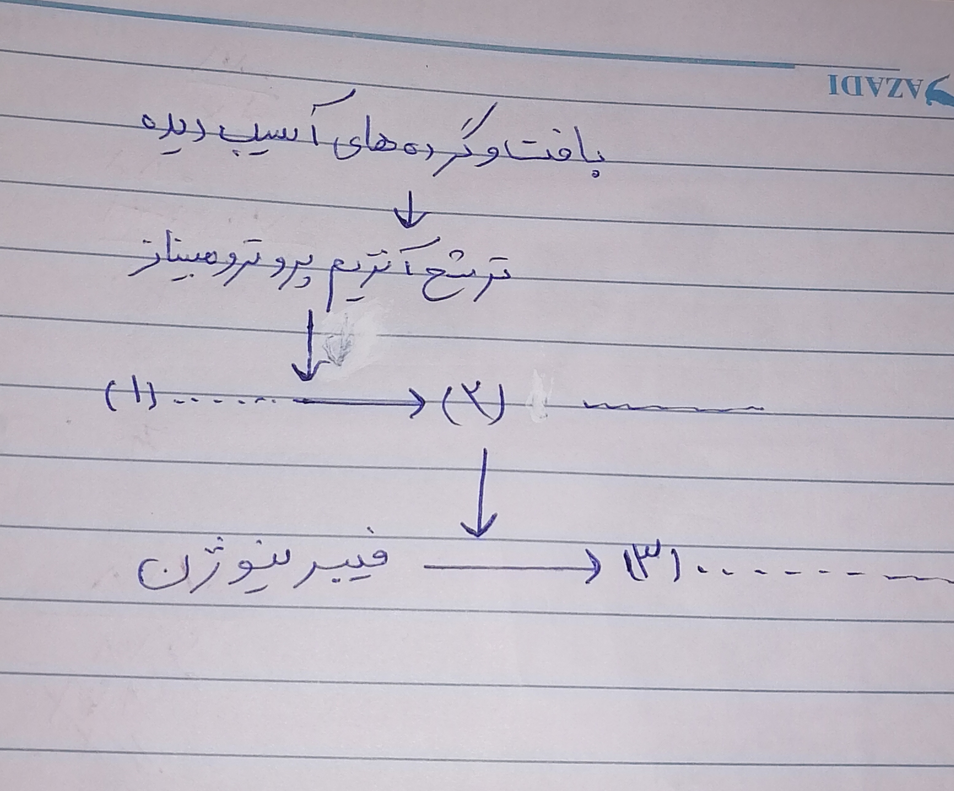 دریافت سوال 8