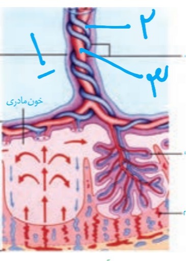 دریافت سوال 14