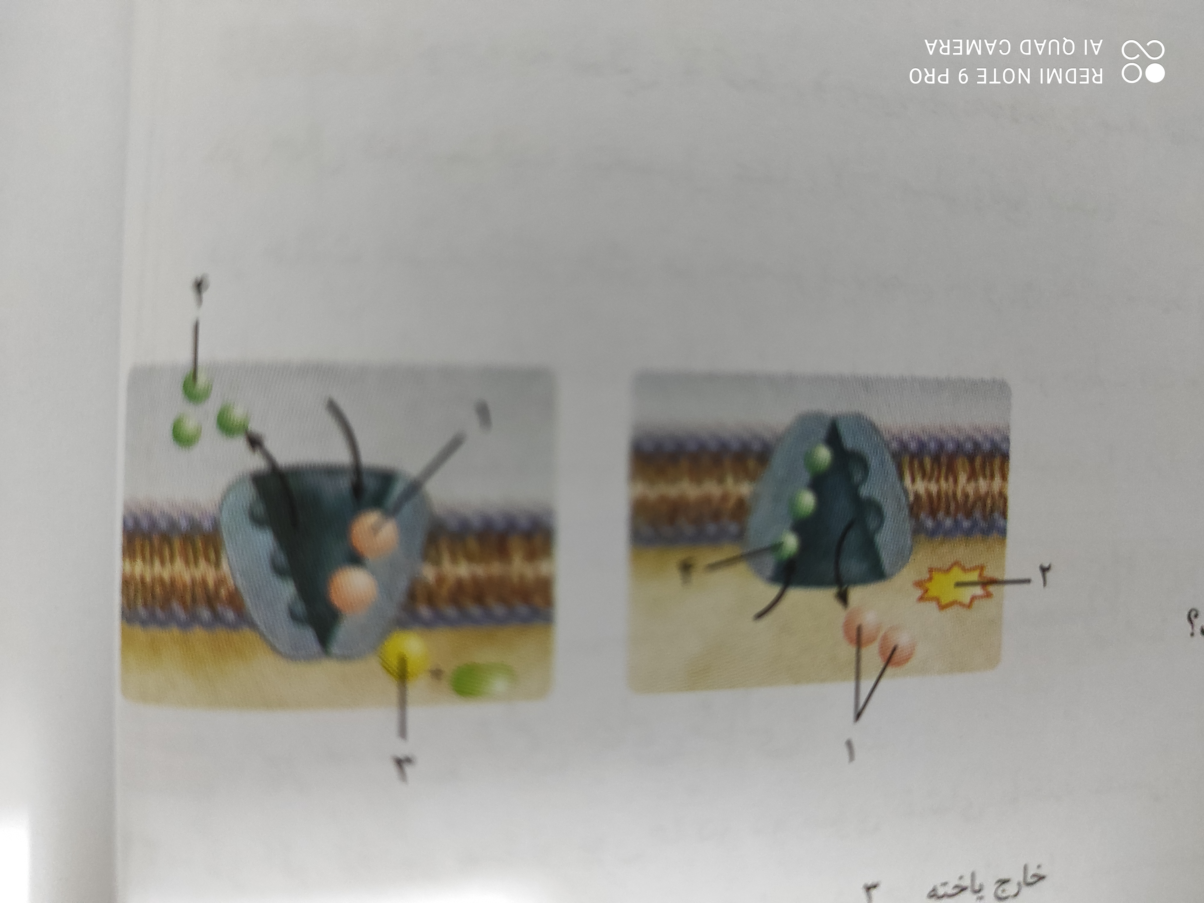 دریافت سوال 17