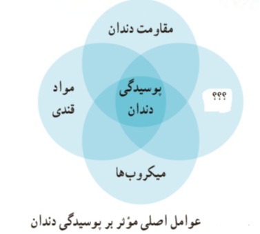 دریافت سوال 12