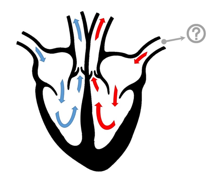 دریافت سوال 46