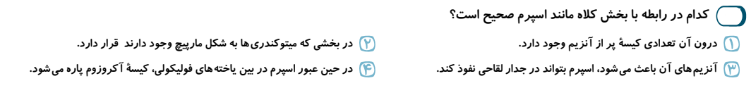 دریافت سوال 12