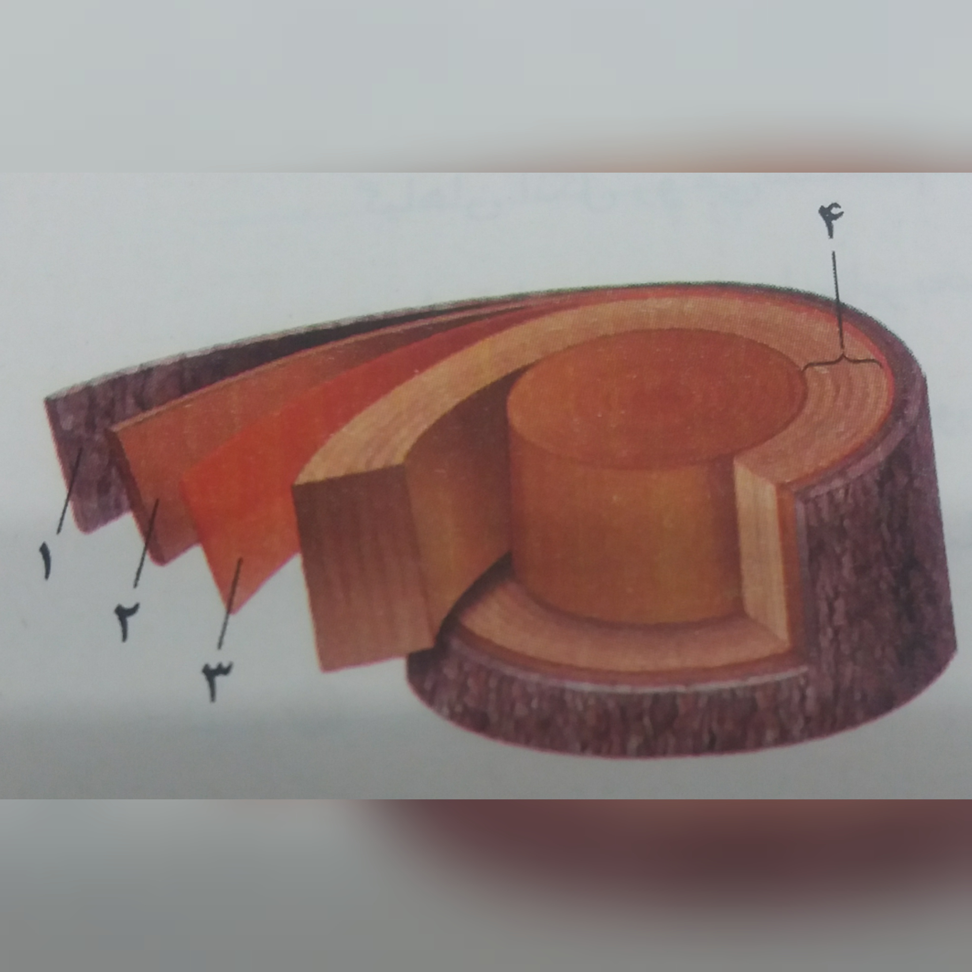 دریافت سوال 16