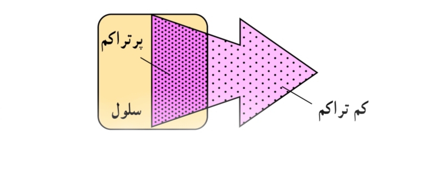 دریافت سوال 11