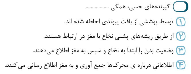 دریافت سوال 8