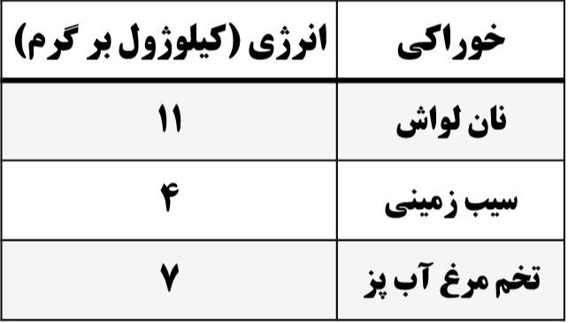 دریافت سوال 13