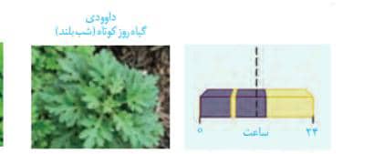 دریافت سوال 32