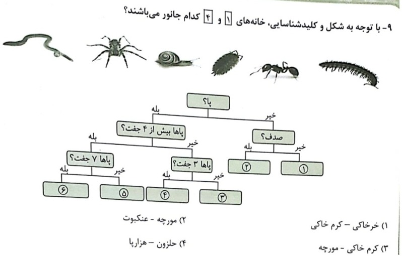 دریافت سوال 18