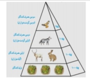 دریافت سوال 17