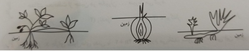 دریافت سوال 18