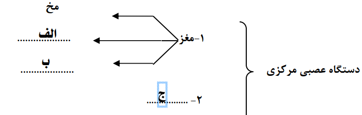 دریافت سوال 11