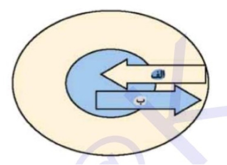 دریافت سوال 23