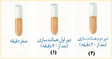 دریافت سوال 7