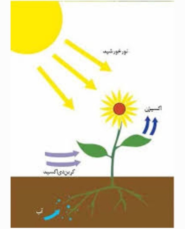 دریافت سوال 2