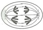 دریافت سوال 8