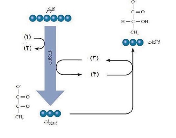 دریافت سوال 27