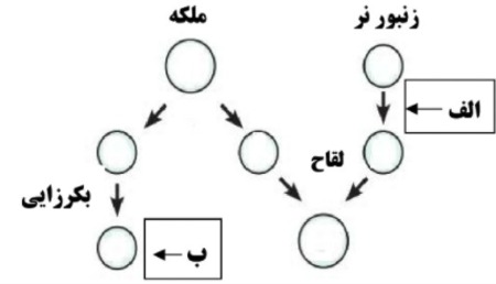 دریافت سوال 22