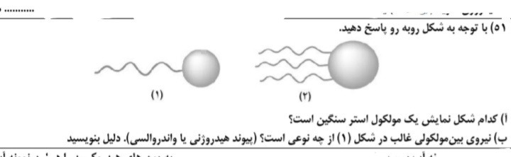 دریافت سوال 1