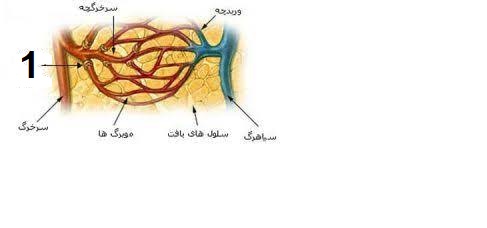 دریافت سوال 23