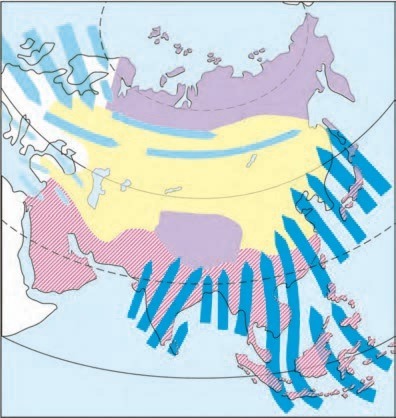 دریافت سوال 13