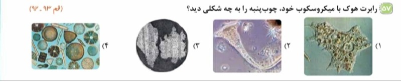 دریافت سوال 8