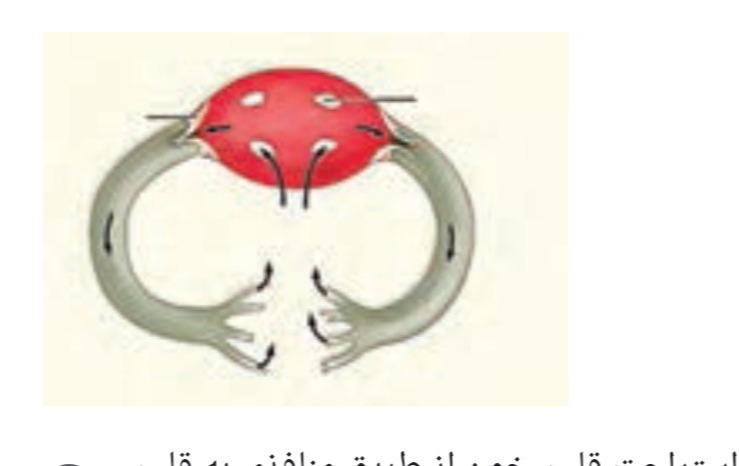 دریافت سوال 17