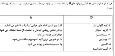 دریافت سوال 20