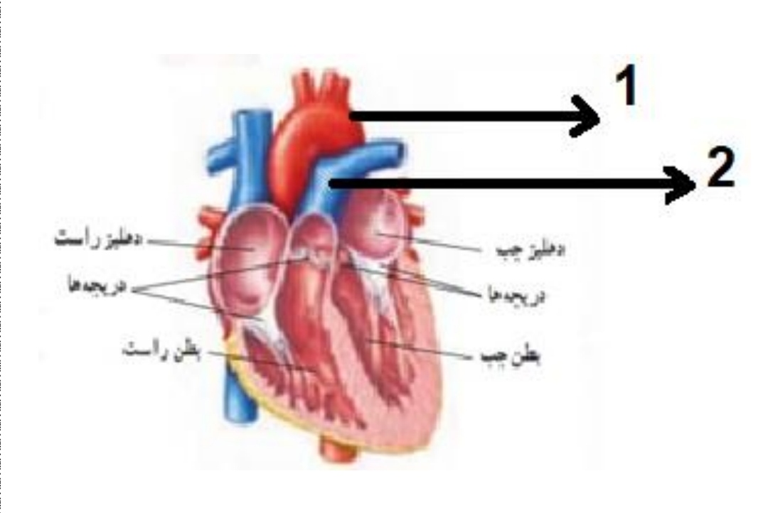 دریافت سوال 29