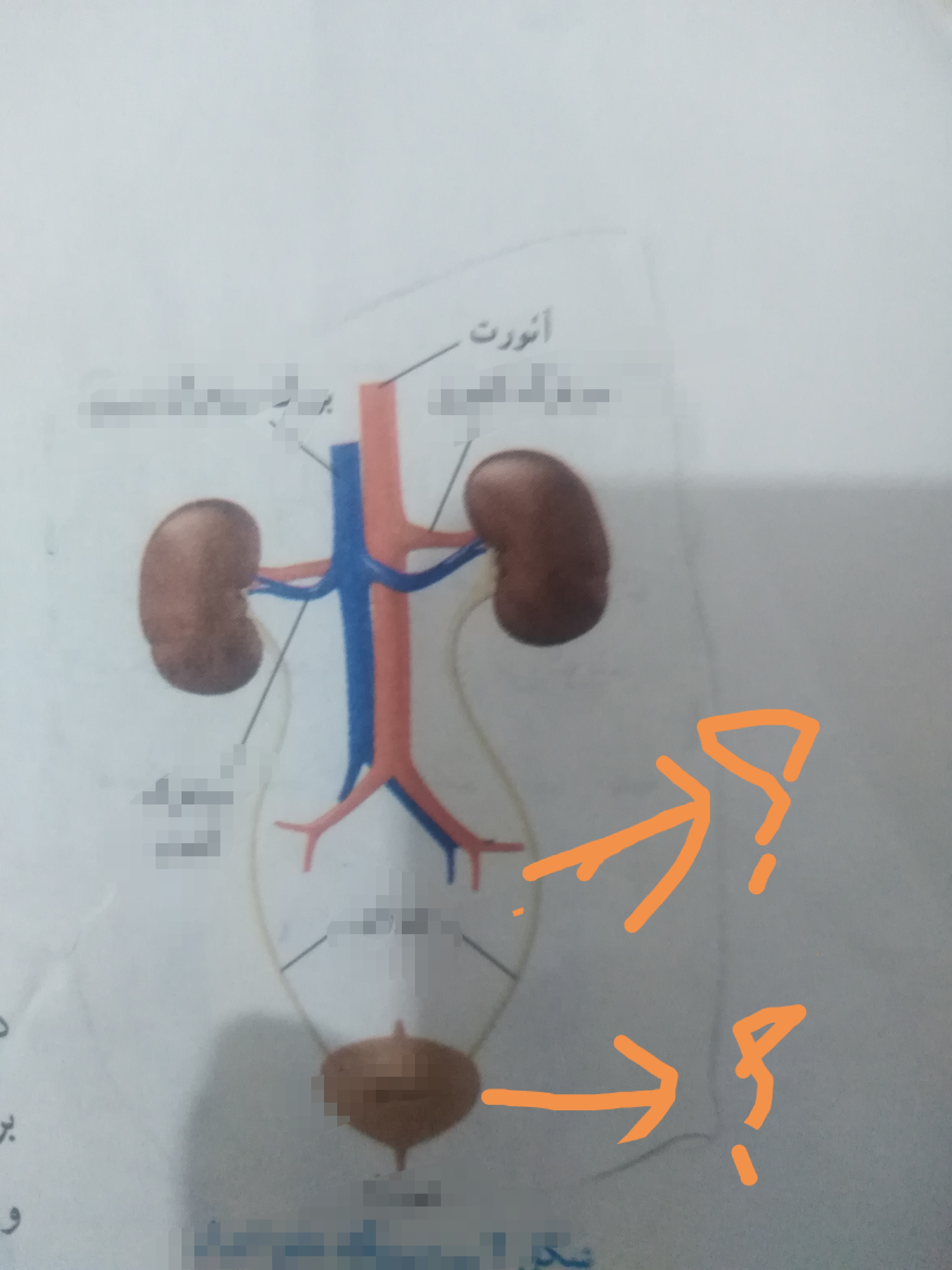 دریافت سوال 20