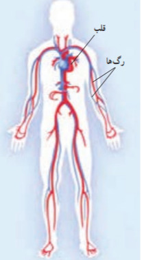 دریافت سوال 16