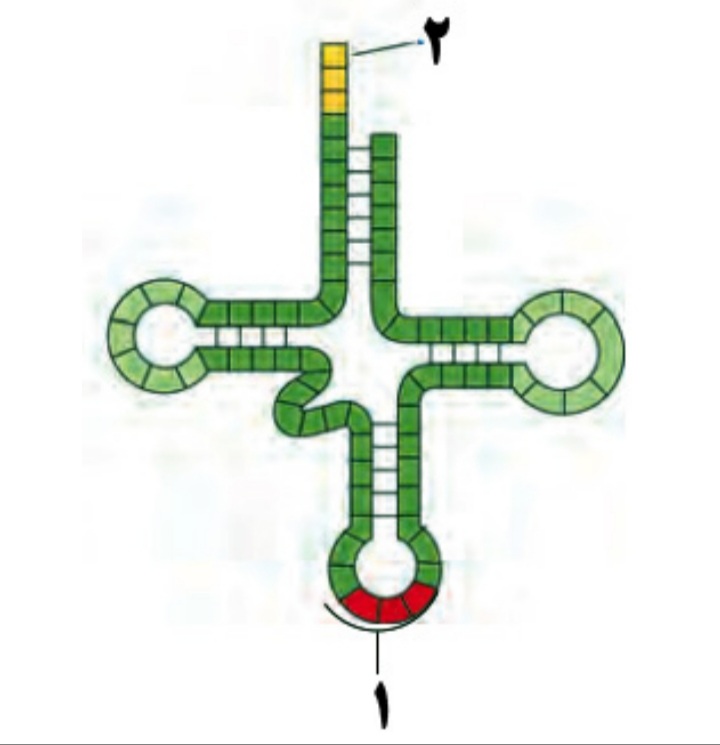 دریافت سوال 3