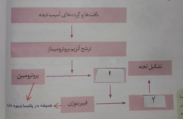 دریافت سوال 14