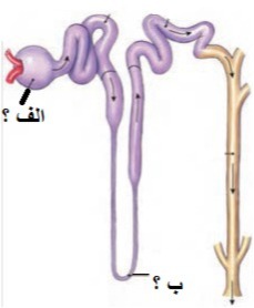 دریافت سوال 7