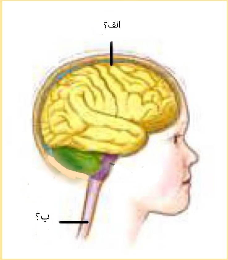 دریافت سوال 5