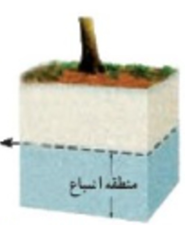 دریافت سوال 6