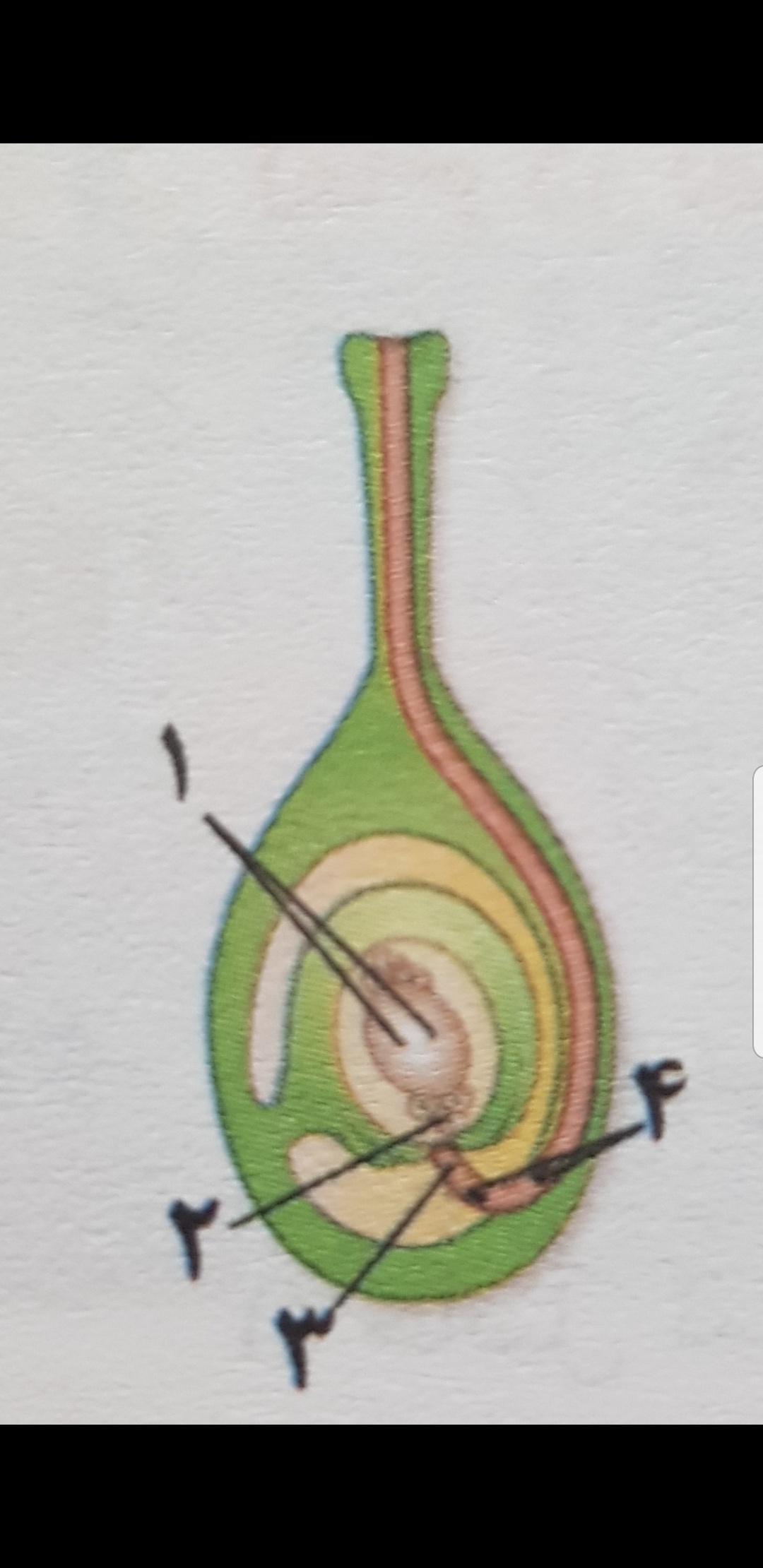 دریافت سوال 5