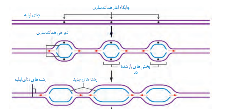 دریافت سوال 3