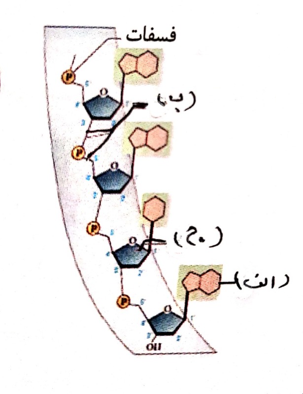 دریافت سوال 9