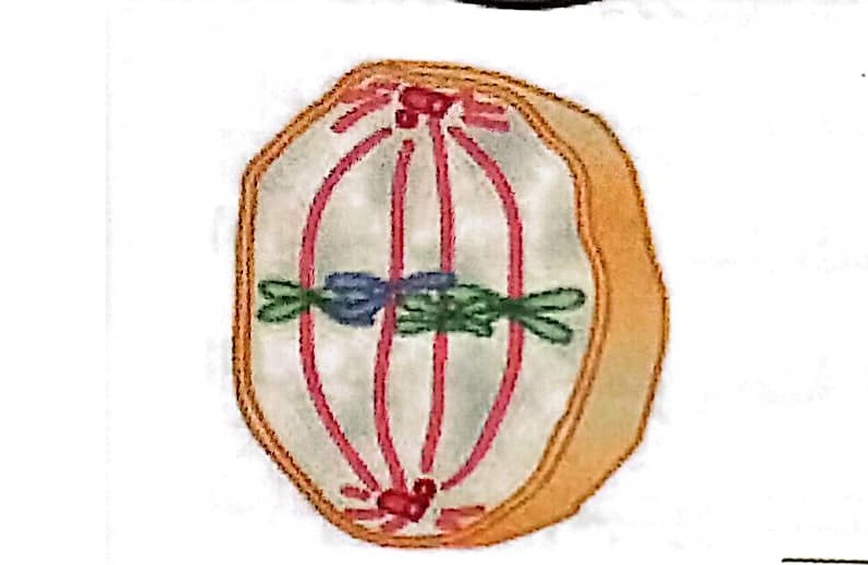 دریافت سوال 23