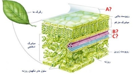 دریافت سوال 25