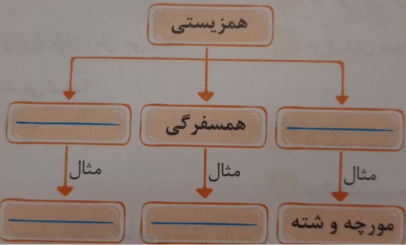 دریافت سوال 6