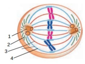 دریافت سوال 15