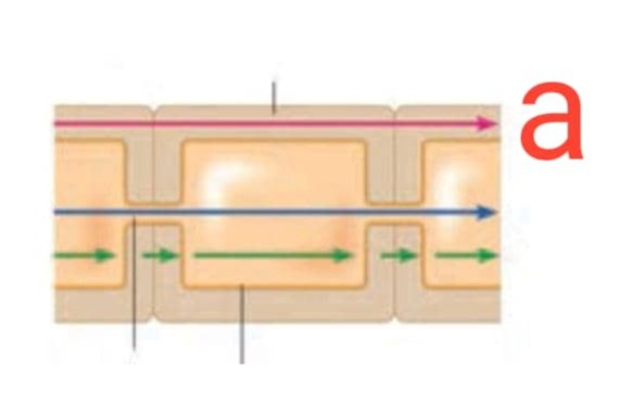 دریافت سوال 30