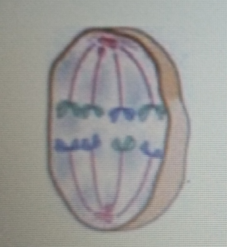 دریافت سوال 23