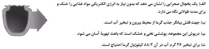 دریافت سوال 6