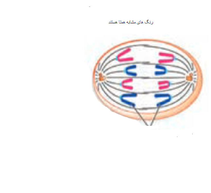 دریافت سوال 17